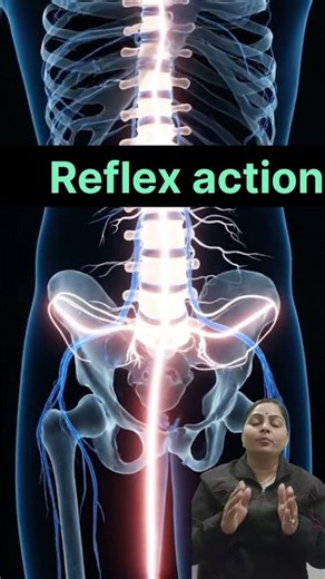 रिफ्लेक्स क्रिया | Reflex action explained