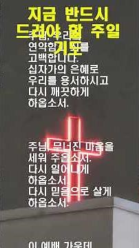 지금 반드시 드려야 할 주일 기도ㅣ회복기도ㅣ회개의기도ㅣ대표기도문ㅣ수요예배기도ㅣ십자가묵상 ㅣ기도문ㅣ은혜로운기도ㅣ주일예배