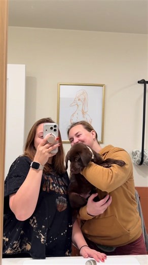 Little Mr. Lake’s Nine week videos from Friday! He’s getting so big already! 😩🐾 #lakethelab #labradorretriever #chocolatelab #puppylife #dogsoftiktok