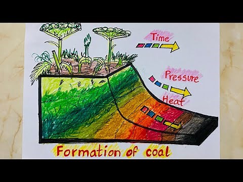 Formation of coal drawing for school science journal diagram project for kids | easy drawing
