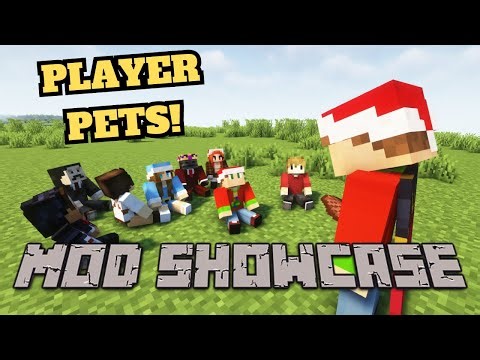 Mini Player Pet! Minecraft Mod Showcase