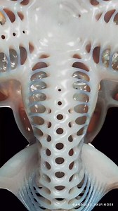 2.3K views · 17 reactions | Join our upcoming workshop, “Biomorphic...