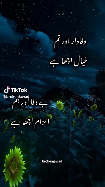 Wafadar Aur Tum Bewafa: Urdu Poetry Insights