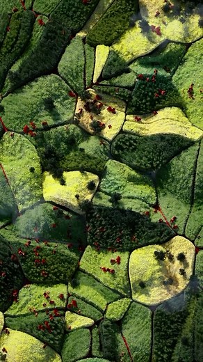 Stepmotherland #houdinifx #houdiniartist #vfxartist #3dgraphics #cgiart #motiongraphics #houdini_art #3dart #houdinivfx | Look.deva