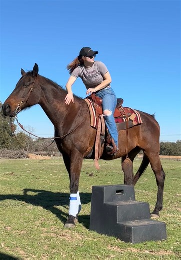 Transform Your Thoroughbred: 20-Minute Training Guide