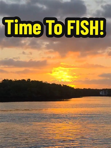 Spring Fishing Adventures After My Wedding