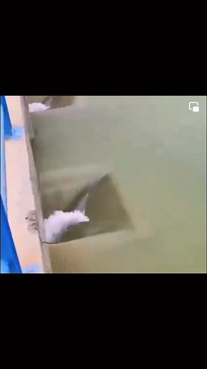 ‎Fibladi الجزائر‎ | ‎🔴#سد ولجة ملاڨ في تبسة يجتاح العتبة ويعبر الحدود في طريقه الى تونس لأول مرة منذ تشييده ....الحمد لله 🤲🇩🇿 منقول‎ | Instagram