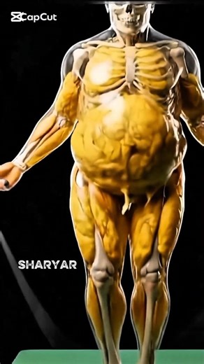 Jump Rope vs Lower Body Fat | What Actually Happens To Your Muscles