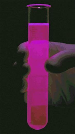 Backtesting: The Only Way to Set Realistic Profit Expectations 📊