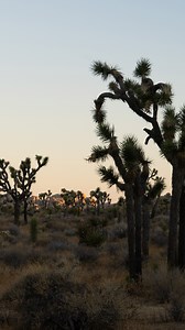 Tired of endless dust spots? We got the solution!👇 Learn how to use the incredible new AI Dust Removal feature in Lightroom Classic and Photoshop! This new FREE tutorial shows you how to apply the "Dust" setting instantly to single images and efficiently batch-sync the cleanup across your entire photo series. ➡️ BONUS: Includes 3 FREE RAW files so you can follow along step-by-step. https://phlearn.com/tutorial/dust-removal-in-lightroom-and-photoshop/ Lightroom | Adobe Camera RAW | Photo Editing