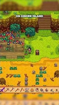 Unlock your Ginger Island farmhouse on your first day there in #StardewValley