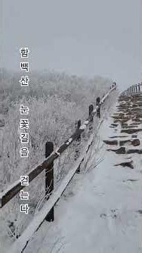 무더운 여름에 보는 시원한 태백 함백산 눈꽃 산행(1) #장윤정 #바람길 #함백산 #태백 #눈꽃산행 #하늘짱자연짱 #하자짱
