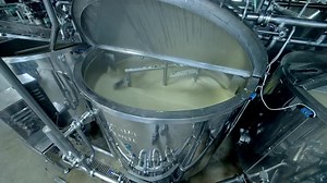 Producing dairy cheesemaking industry. Big factory for making cheese.