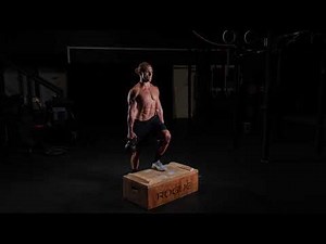 Kettlebell Suitcase Box Step Up