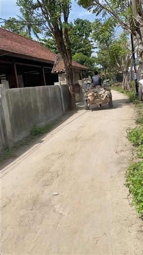 Hunting AND FISHING IN TRADITIONAL VILLAGE