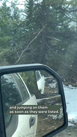 How did we purchase property in Northern Idaho BELOW market value? For those who remember the early days! We haven't done a lot with this property recently. | North Idaho Nomads