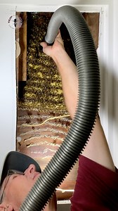 It may sound like a sci-fi concept, but bee-space is one of nature’s most brilliant architectural rules—central to modern beekeeping. 🐝 Bee space refers to the precise gaps within a beehive that allow bees to move freely. This space between each comb is about 9.5 millimetres, which allows bees to work on the opposing combs back to back. 🐝 If it's any smaller, the bees will fill it with comb or seal it with propolis. If it's any larger, they'll treat it like open space, sometimes even building 