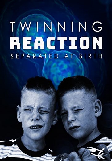 The Twinning Reaction (2017)