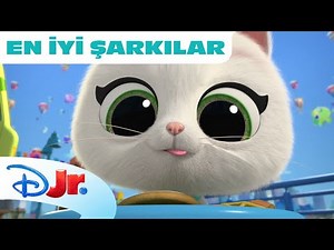 Kedi Konseri 🎤 | Süper Kediler | ‪@DisneyPlusTR‬