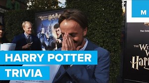 The cast of 'Harry Potter' isn't actually all that great at 'Harry Potter' trivia