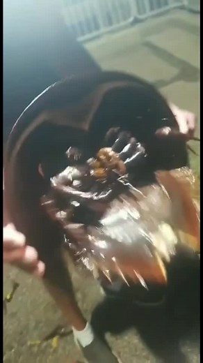 ‏#stitch with @novascreator still gotta #pokemon #crab #alien