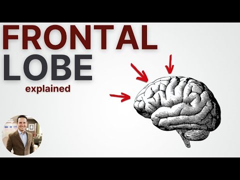 Frontal Lobe Seizures and Damage