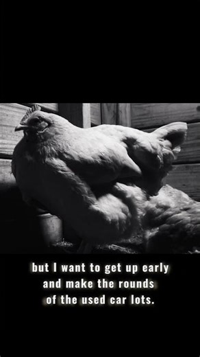 Chicken Noir, Part 10: +2 Stealth Buff Orpington Sneak Rogue Build | Parody Detour (1945)