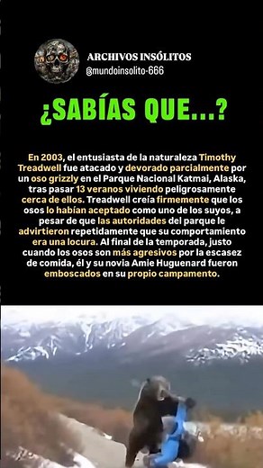 Vivió 13 años con OSOS salvajes hasta que pasó ESTO 🐻.#historia