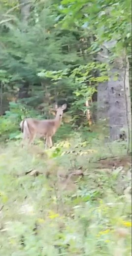 2021 Yamaha wolverine x2 r-spec 850