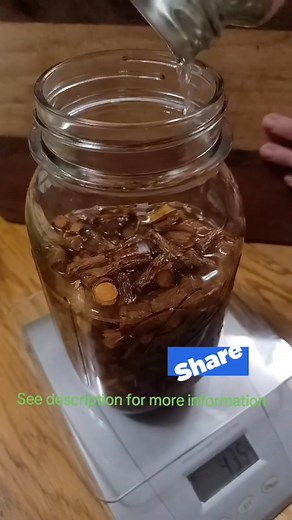 How to make a Cryptolepis root tincture. Use a 80% alchol with a 1 to 4 ratio by weight. Chop the root into small pieces to insure that all plant parts are submerged in the alchol. Shake daily. Let extract for 8 weeks. Here I am using 440 grams of alcohol and 110 grams of root. History & Traditional Use Cryptolepis has a long history of use as an herbal medicine in Central and West Africa, where it originates. The plant is traditionally used for malaria, upper respiratory tract infections, infla