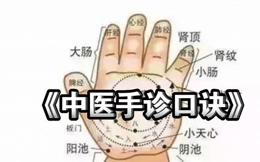 《中医手诊口诀》