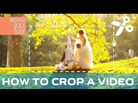 How to crop a video? - Movavi Video Suite 14