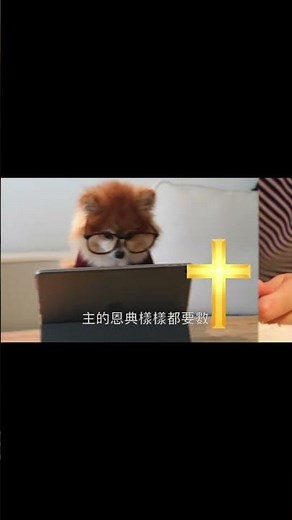 【數算主恩】Count Your Blessings (Cantonese hymn) 粵語詩歌 #基督教詩歌精選