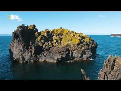 National Geographic Documentary 2021 Animal Documentary 2021 4K HD Video