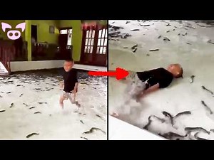 Glitches in the Matrix that were captured on camera