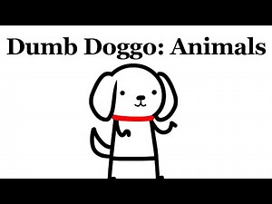 Every Dumb Doggo Video About Animals
