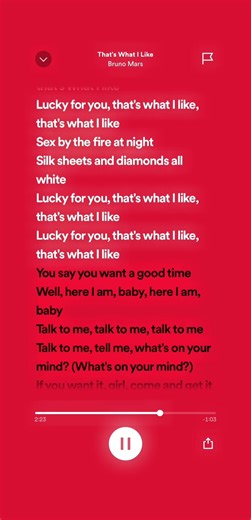 That's What I Like: Bruno Mars Sped Up Version