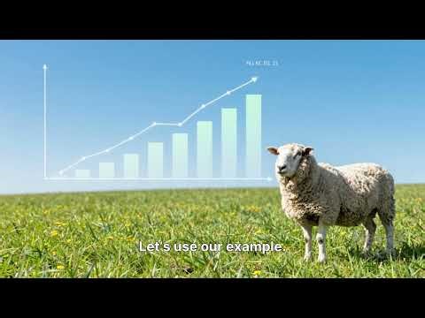 IAS 41 Agriculture - Individual Assignment