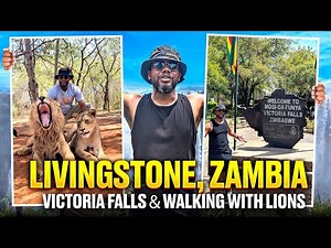 My Livingstone, Zambia Adventure | Victoria Falls, Lion Walk & Zambezi Sunset Cruise