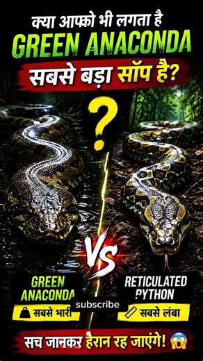 🔥 Green Anaconda Sabse Bada Saamp Nahi? 😱 Sach Kya Hai! | Reticulated Python vs Green Anaconda