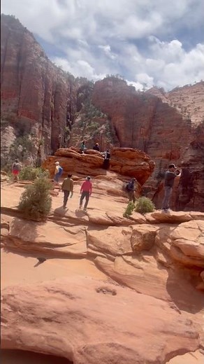 We loved Zion and support the National Parks #protect #nationalparkservice
