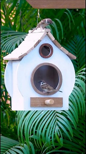The Perfect Home for Birds | Amazing DIY Bird House & Feeder 🐦❤️ #DIYBirdHouse\r#BirdFeeder