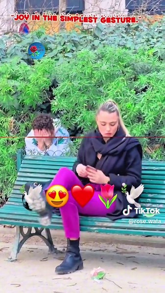 Discover the Magic of a Single Rose Surprise