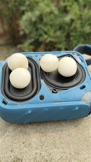 jbl bass test #jbl #test #shorts #shortfeed