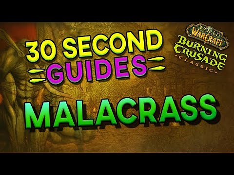 Hex Lord Malacrass - Zul'Aman - 30 Second Guides