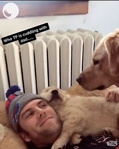 When someone takes your place 😢 | Go Fetch