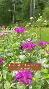 62 reactions · 17 shares | Our ancestral farming practices are...