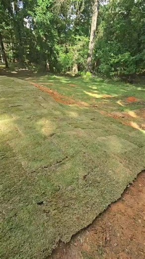 Have you ever wanted to camp overnight at LeFleur's Bluff State Park in Jackson but didn't have a tent or RV to make it happen? Soon you'll have the option to rent our newest TINY HOUSE and the first of its kind in the central region of our state park system! Here's a sneak peek from today as landscaping is being finished and final touches are being made. We don't have an official opening date but stay tuned. Get ready and get excited! #MSStateParks #TinyHouse | Mississippi State Parks