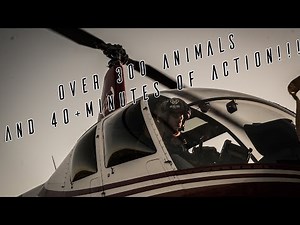 Pepper Farm Group's Helicopter Hog Hunt - Over 300 Animals!
