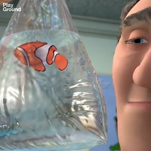 8.7M views · 149K shares | We’re upset when Nemo is taken from his family…but we forget that we were the guilty ones. | PlayGround + | Facebook